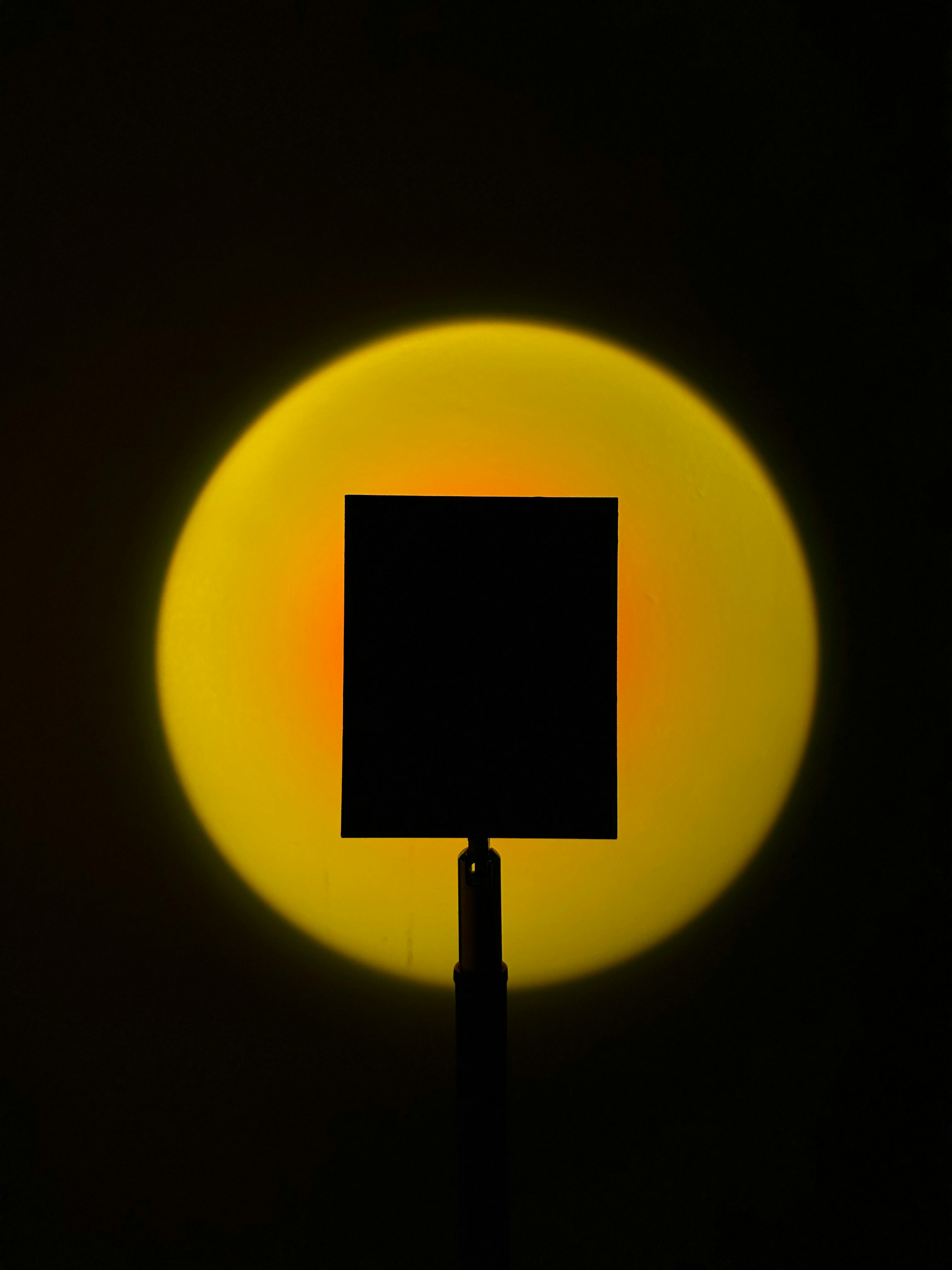 Logo Software Corporation